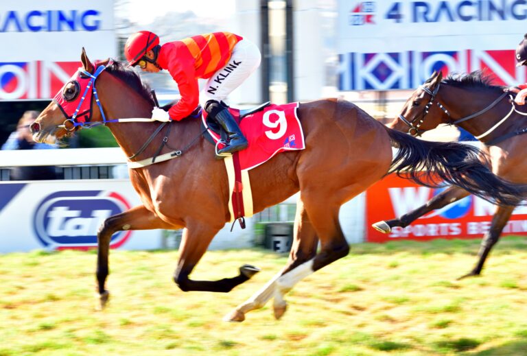 Mambo aiming from Middle Stakes to Gold Cup