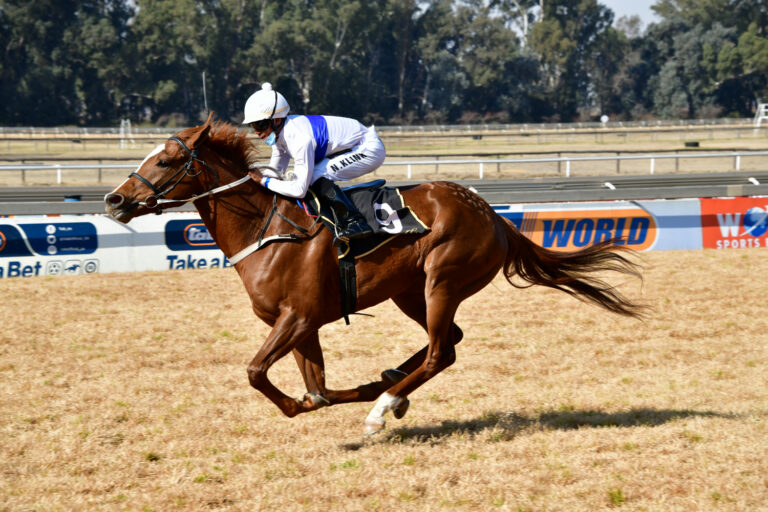 Mares to dominate Vaal Middle Stakes
