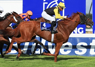 Marina to claim Paddock Stakes