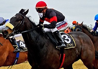 Marmara Sea to carry on flowing at Fairview