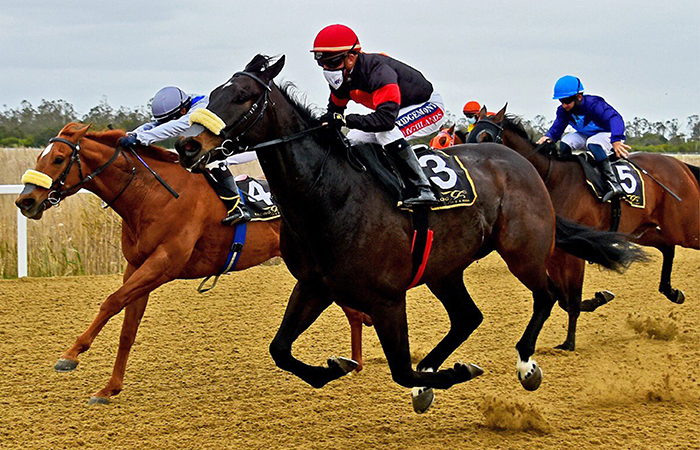 Marmara Sea will relish return to Polytrack