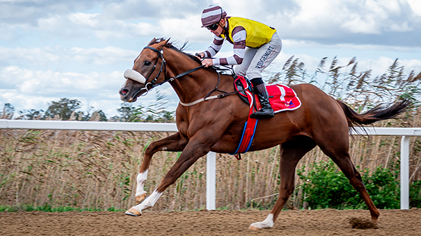 Mercantour makes poly magic