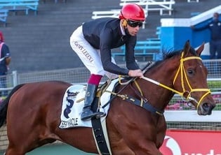 Merit in Desert Miracle’s win, says De Kock