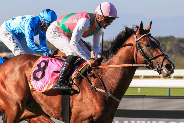 Met champ stands out in Cape Derby