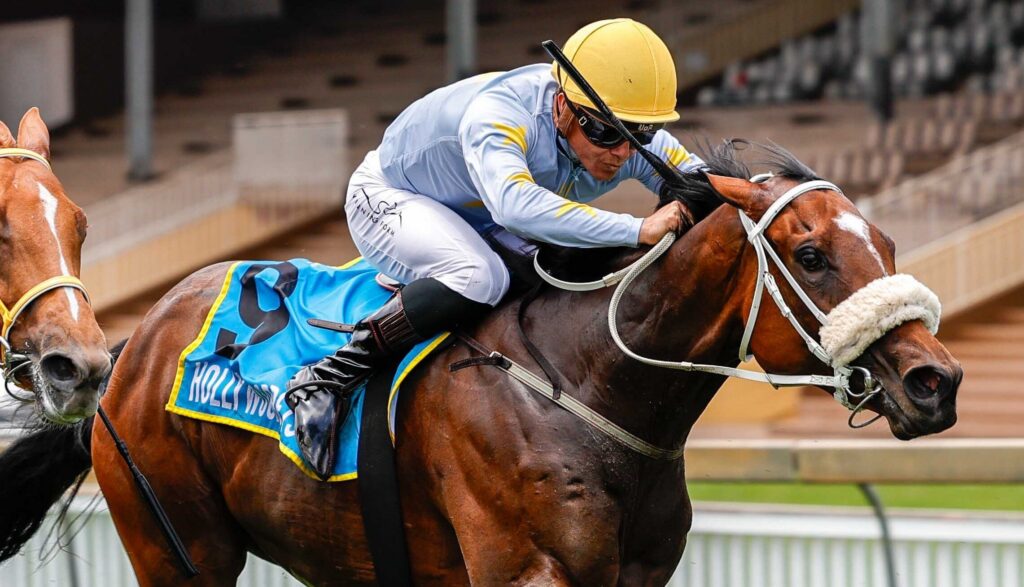 Miller filly stands out at Scottsville