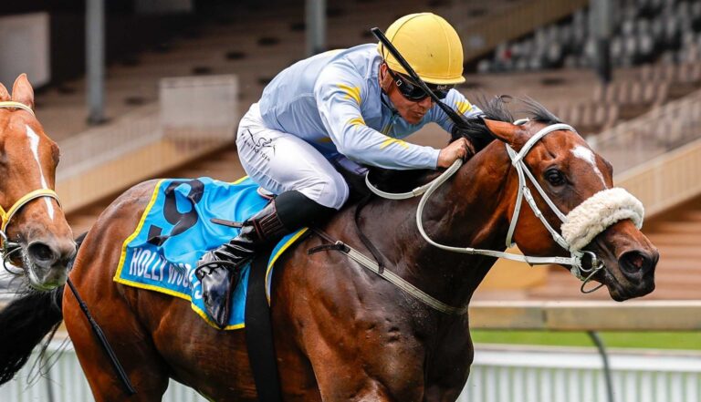 Miller filly stands out at Scottsville