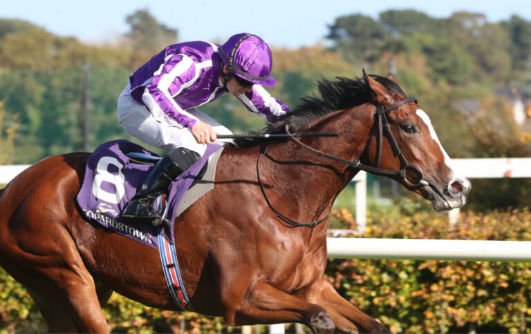 Minnie coup for O’Brien in the Arc