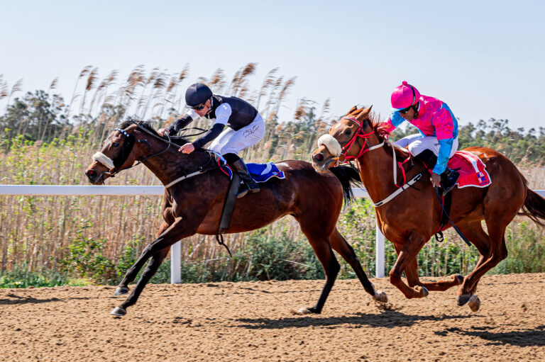 Mitchley’s runners look hot after holiday