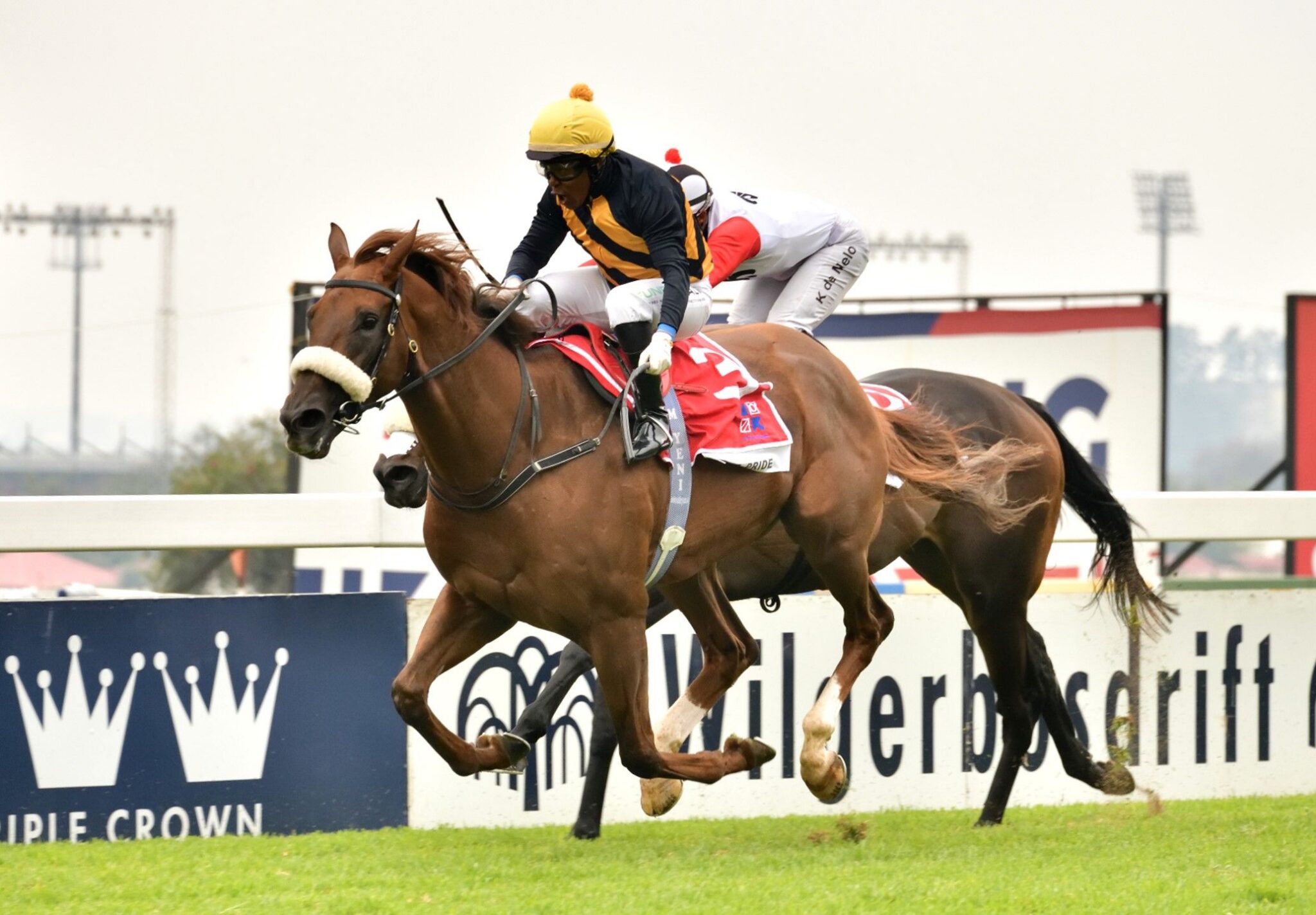 MK’s Pride best in Breeders Mile