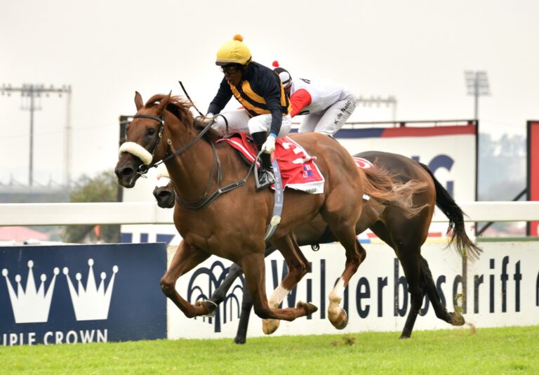 MK’s Pride draws wide for Gold Challenge