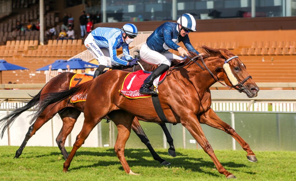 Mount Laurel could be Off To Stud