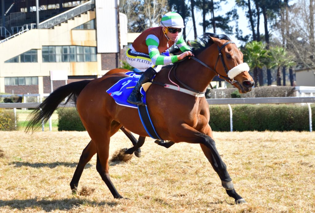 Munch on a Macaroon at the Vaal