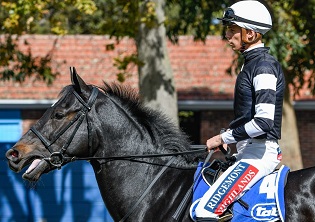 Murray to ride for Crawford