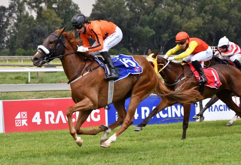 Namaqua Blossom to shed bridesmaid tag