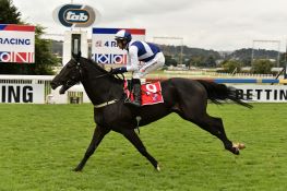 Naval Guard hard to oppose