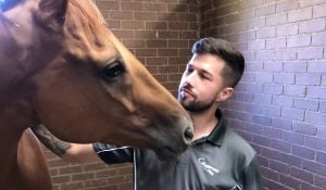 Naval Guard to coast home