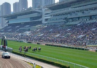 Navas Two stands out at Sha Tin