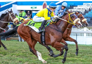 Nebraas takes gold at Greyville