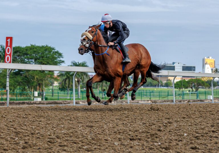 New Polytrack takes centre stage