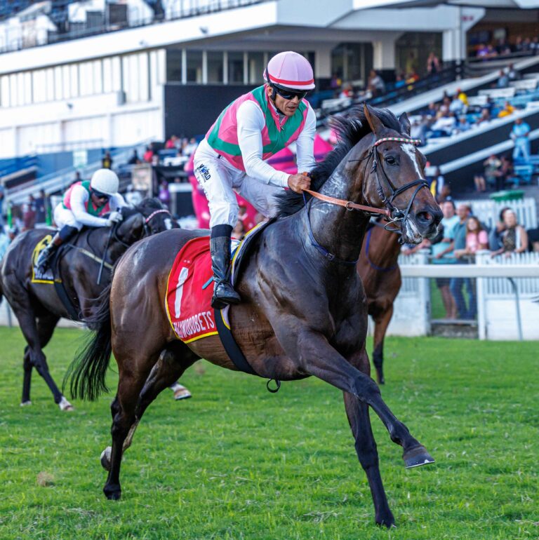 Okavango ready to swamp his rivals