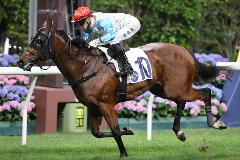 One For All returns to take up HK Challenge