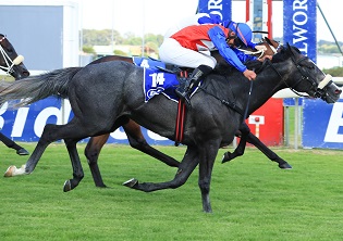 Outsider rocks Cape Guineas