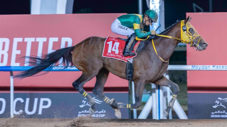 Pen-pics of the Dubai World Cup runners