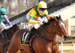 Peter duo to fight out sprint