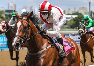 Peter to join the Space Race