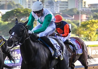 Pick 6 the play at Greyville