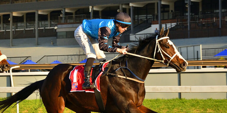 Pinnacle more  than just a three-way contest