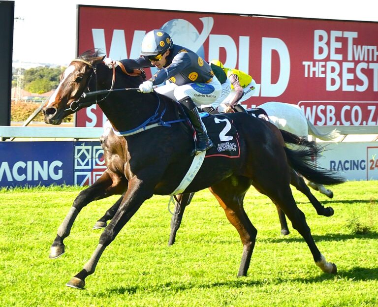 Pinnacle Stakes a steal for Money Heist