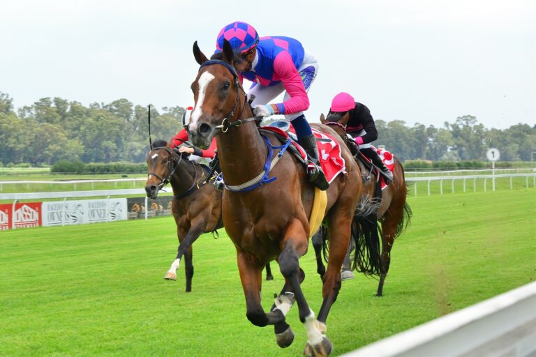 Pistol Pete to hit the target