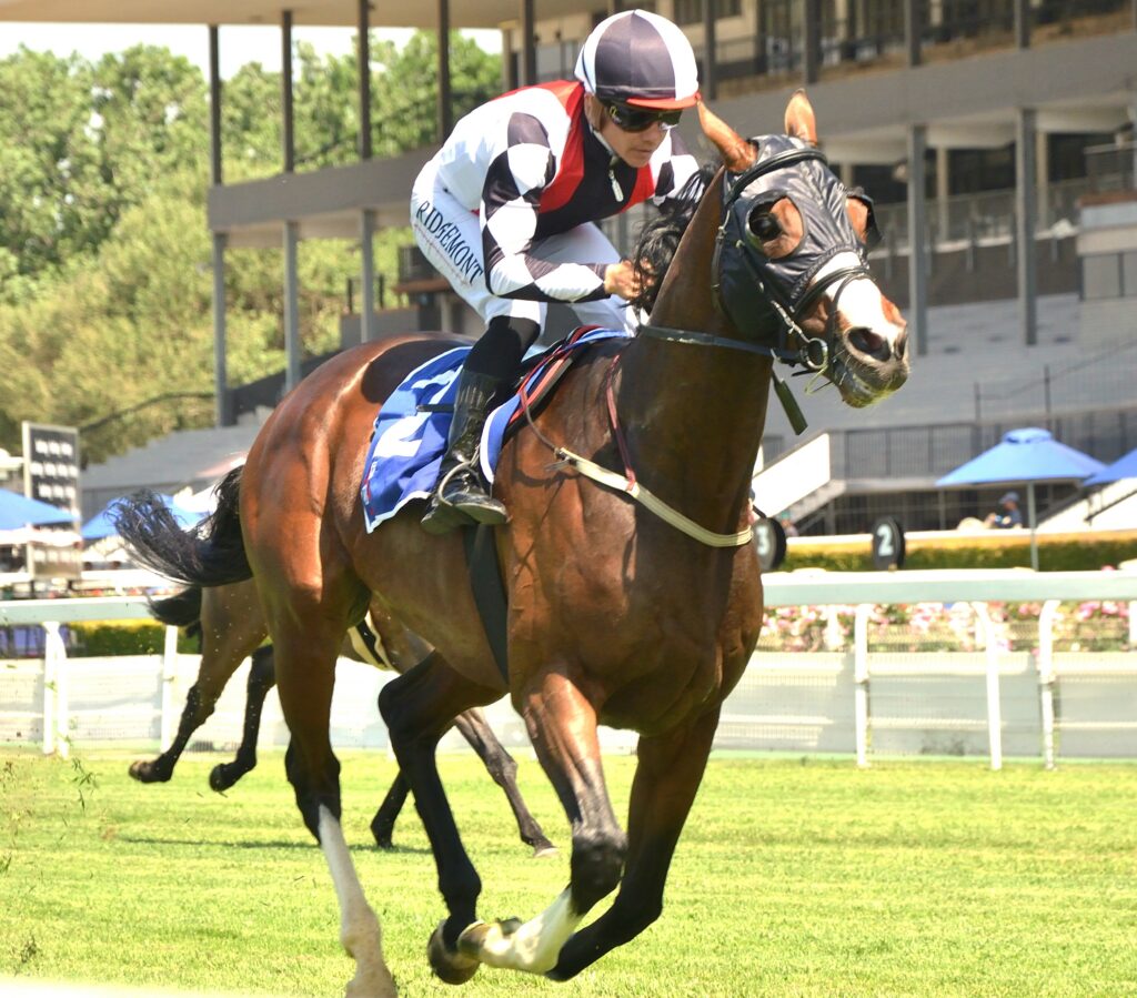 Plan comes together for The Equator