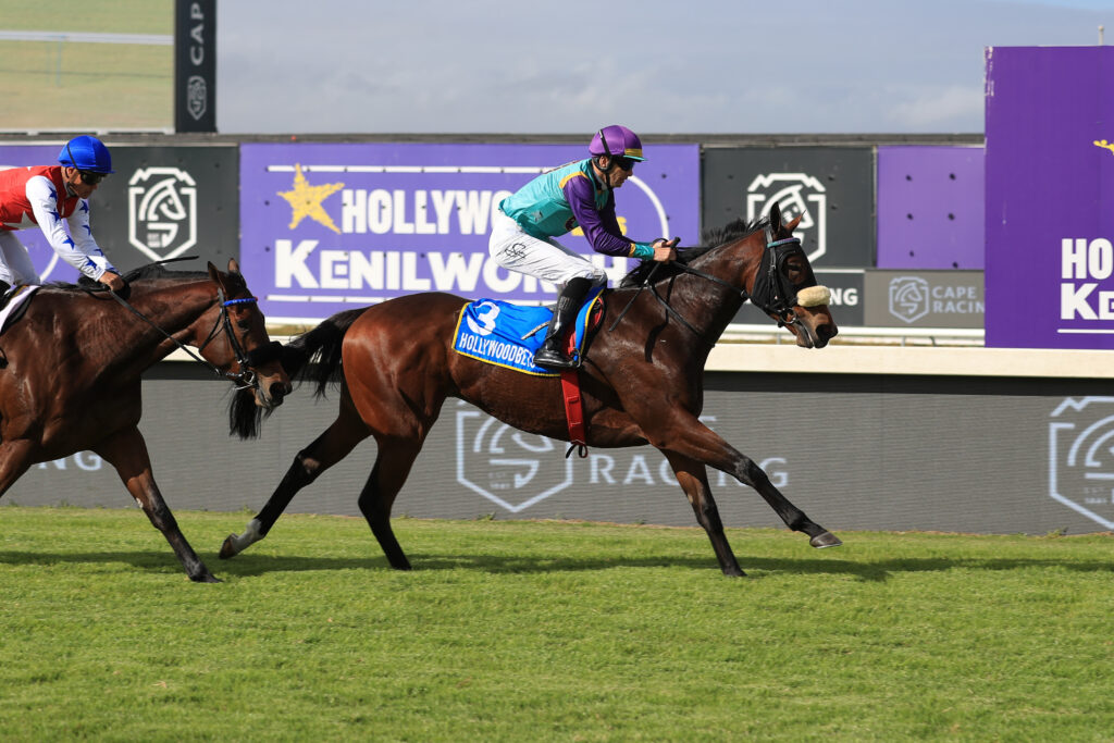 Poly move a cracker for punters