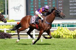 Polytrack favours Lucky Jinsha at Kranji