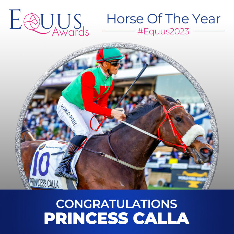 Princess Calla named Equus Horse Of The Year