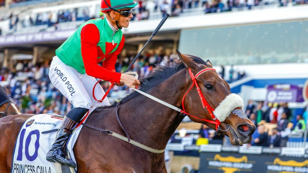 Princess Calla leads HOTY table