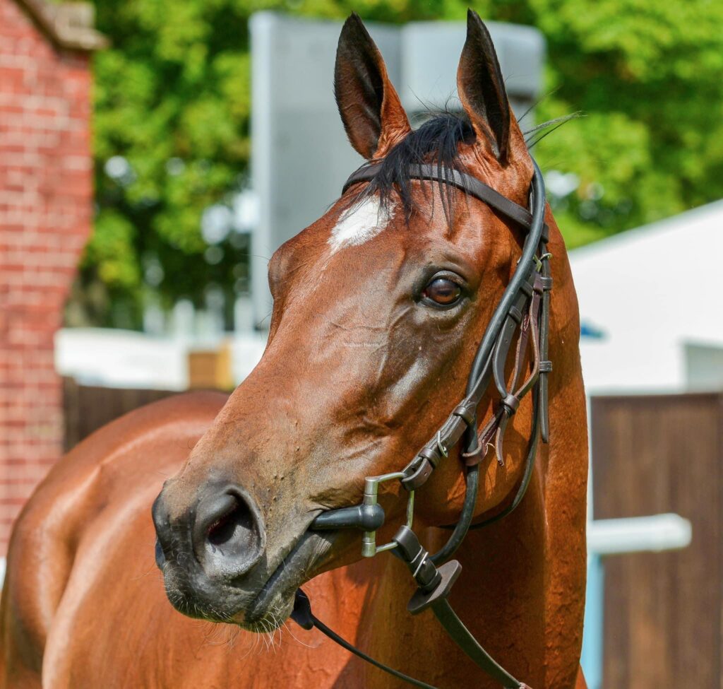 Princess Looks Perfect For Goodwood Backers