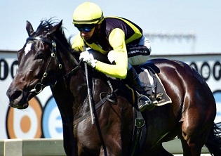 Pudding for Empress Club