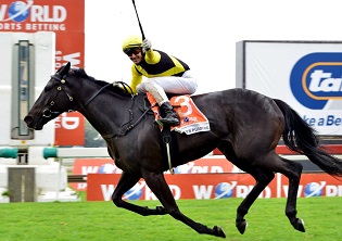 Pudding out of the Met