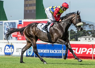 Pudding tops Cup betting