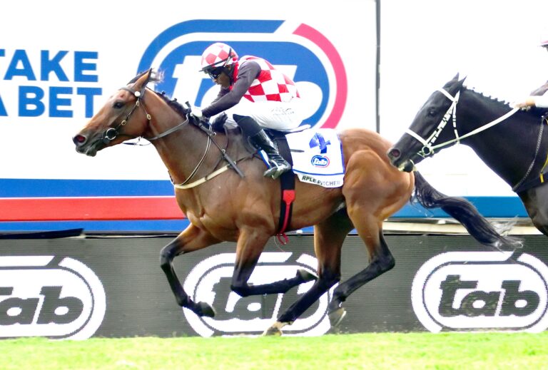 Purple Pitcher better than odds suggest, says lone female July trainer