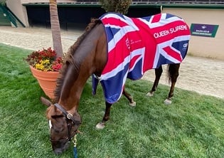 Queen Supreme ‘may surprise’