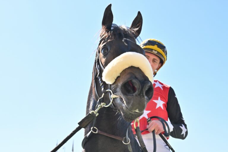 Rachel Wall looks hot at the Vaal.