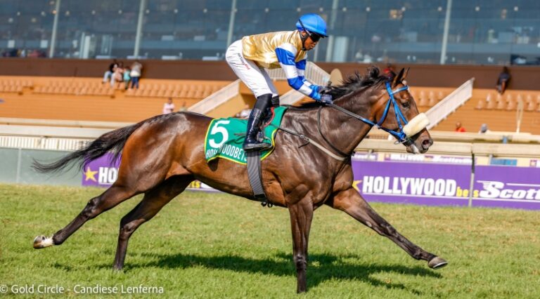 Radicchio could be the Star Performer