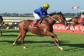 Rainbow Bridge among world’s best