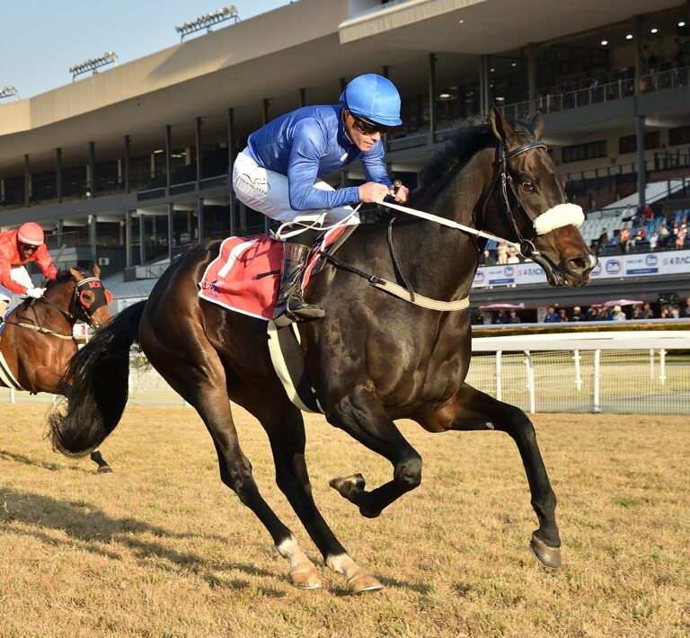 Raiseahallelujah to continue giving