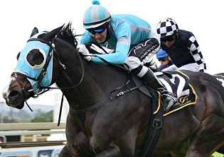 Ransom looks a bold bet