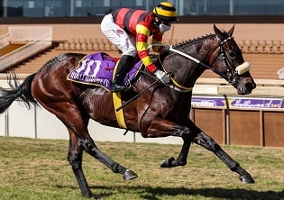 Rascallion for Winter Series Leg 2